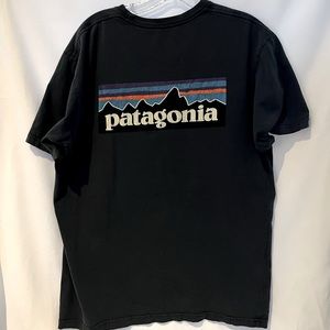 Patagonia crew shirt